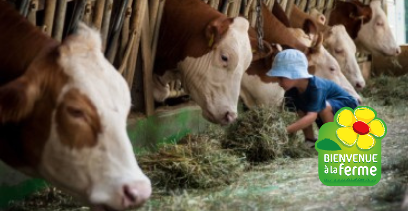 Atelier d'été "petits fermiers" avec les fermes du réseau Bienvenue à la ferme Charente-Maritime (17)