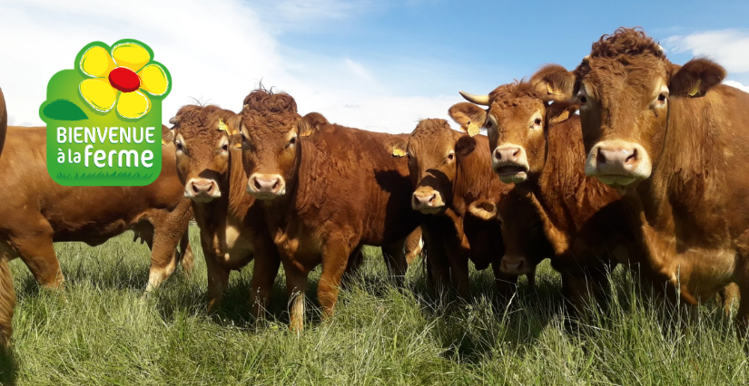 Les animations de l'été des fermes du réseau "Bienvenue à la Ferme Charente-Maritime"