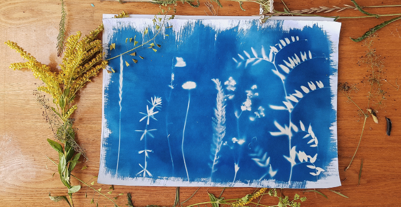 Atelier cyanotype à la médiathèque Michel Crépeau, La Rochelle