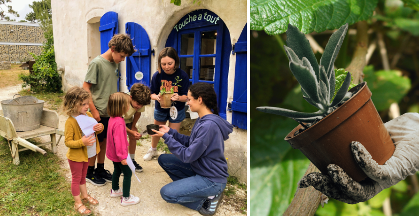 Chasse au trésor et bourse aux plantes à la Maison éco-paysanne, sur l'île d'Oléron