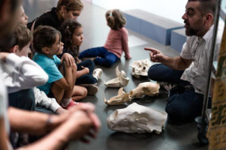 Fête ton anniversaire au Muséum d'Histoire Naturelle de La Rochelle !