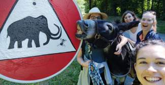 Week-end ou vacances insolites...: vivez une vraie aventure en famille avec les Ânes de la Rêverie entre Saintes et Cognac