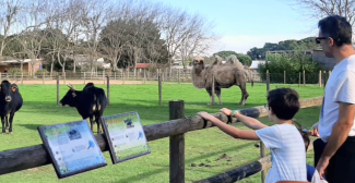 La Ferme de Magné, un super parc animalier familial, entre Saintes, Rochefort et Royan