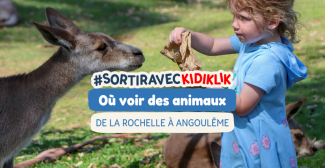 Où voir des animaux en Charentes ? Le top des fermes pédagogiques et parcs animaliers de La Rochelle à Angoumême