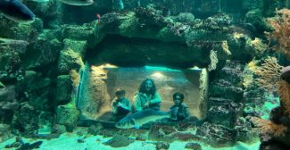 L'Aquarium de La Rochelle, une visite incontournable à prévoir sur le Vieux Port de La Rochelle