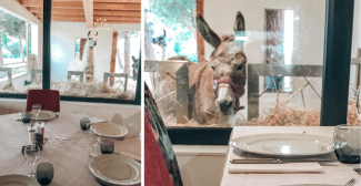 Découvrez les restaurants thématiques de la Ferme de Magné, à Sainte-Gemme